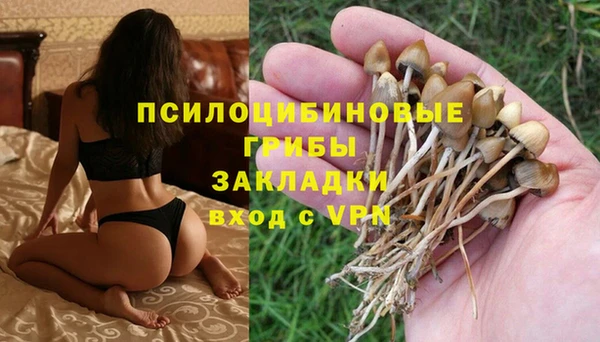 МДПВ Нефтекумск
